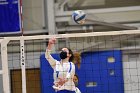 Volleyball vs RWU  Wheaton Women’s Volleyball vs Roger Williams University. : Volleyball, VB